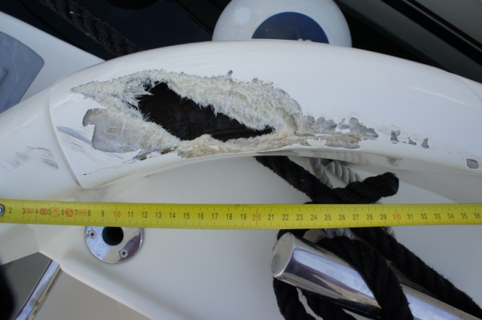 DAMAGE SURVEYS